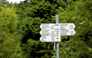 Der Weg ist frei
